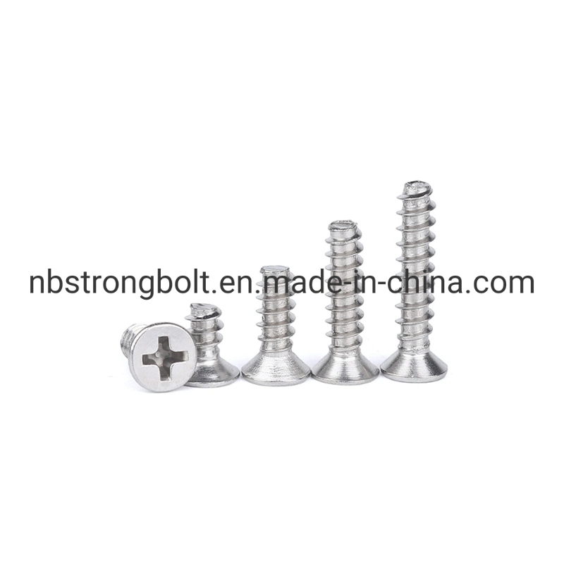 304/316 Stainless Steel Countersunk Head Flat Head Cross Flat Tail Cutting Self - Tapping Screws in-Stock More Than 15years Experience Factory