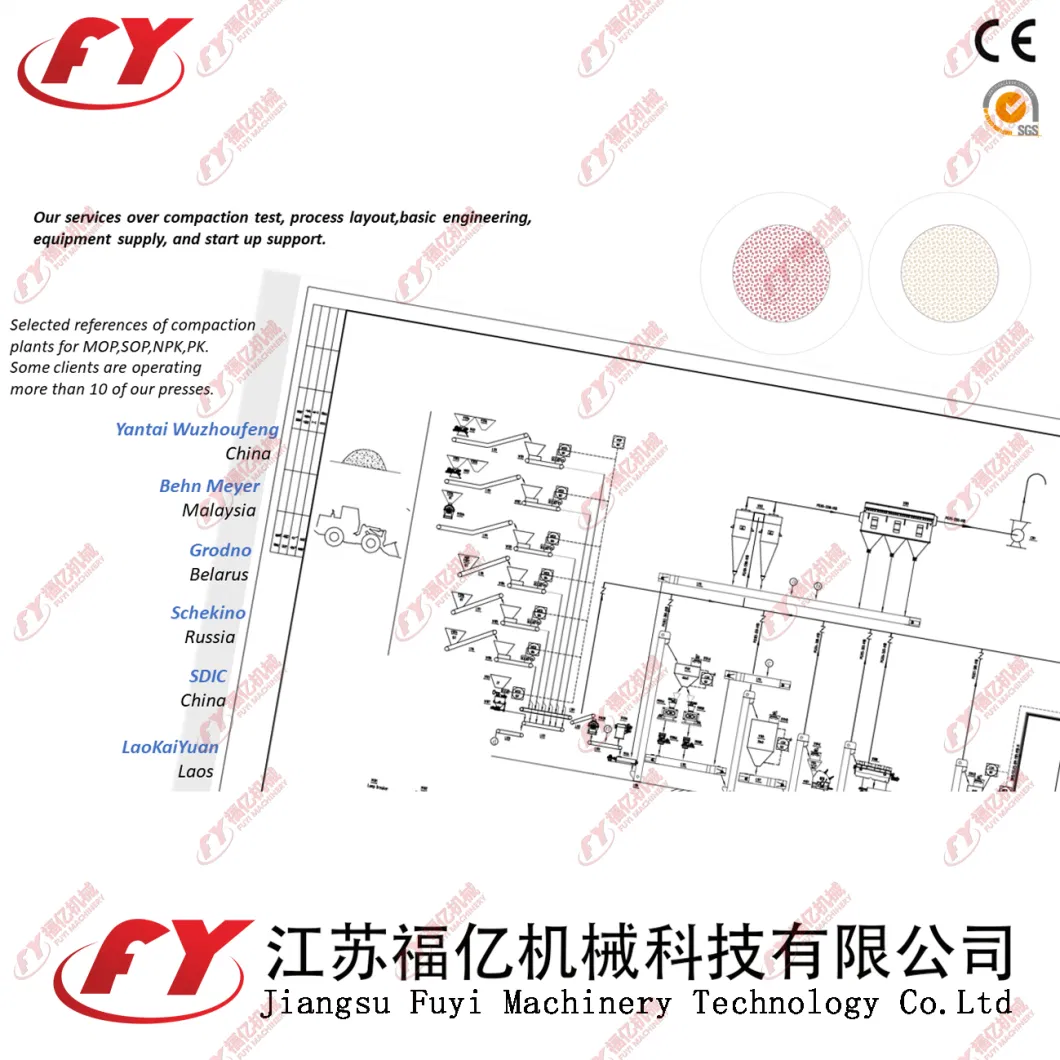 Superior Dry Roll Press Fertilizer Roller Granulator With Scientific Design