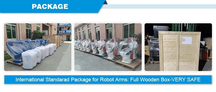 Mini Robot China Cobot Palletizer Manufacturer Payload 10kg Aluminum Alloy Collaborative Robots OEM Wholesale Custom 6-Axis Manipulator