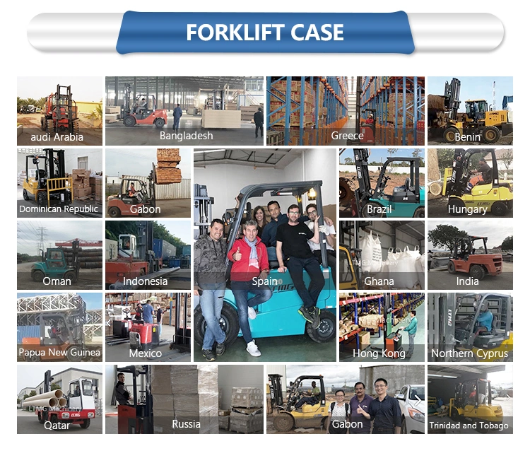 2.5 Ton 3 Ton Dual Fuel Forklift Specification LPG Gasoline Powered Forklift with Paper Roll Clamp