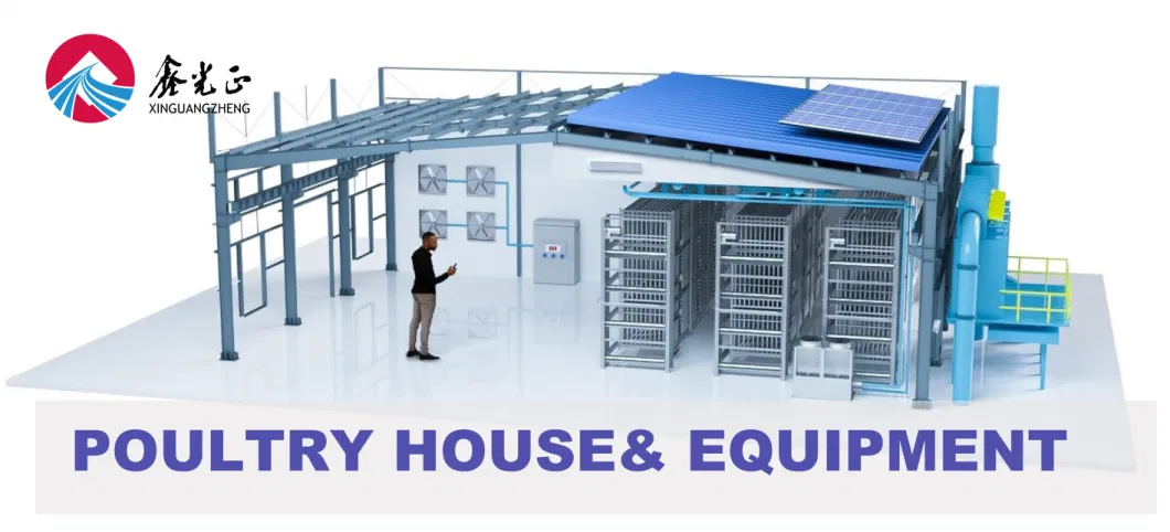 New Type Economical Poultry Farm House for Broiler Chicken Layer Hen (BYSS-220609002)