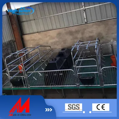 Alta calidad de la cría de cerdos de cajas de acero equipos Hog Pen de la jaula de cría de cerdos