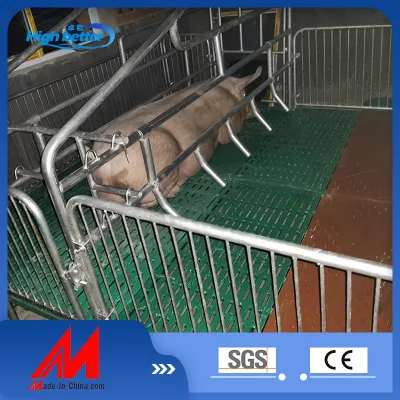 Hot Sales High Quality Whole Sow Farrowing Pen/Pig Farrowing Bed Colocación de la clavada