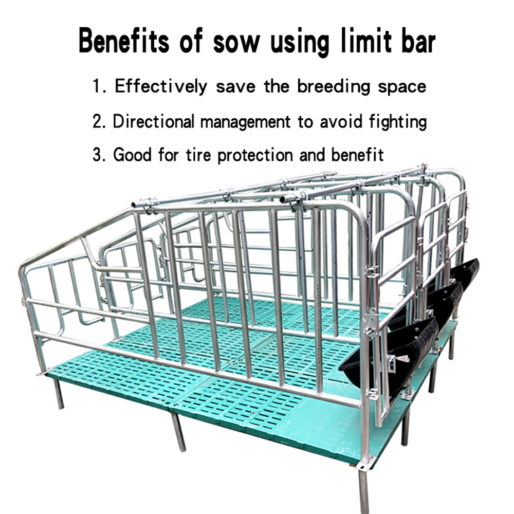 Lowest Price Fattening Pig Pens, Sow Pens, Pig Cages