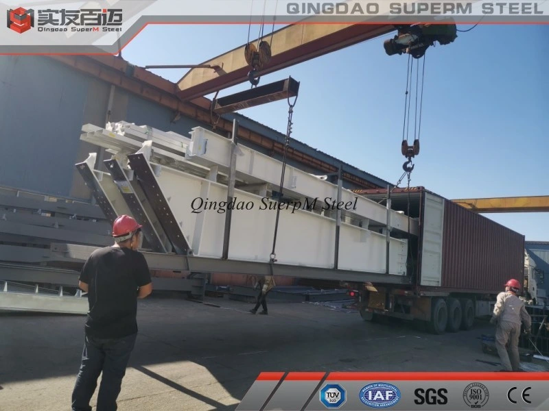 China Supplier Metal Project Steel Frame Material Warehouse Prefabricated Hall Garage Workshop Carport