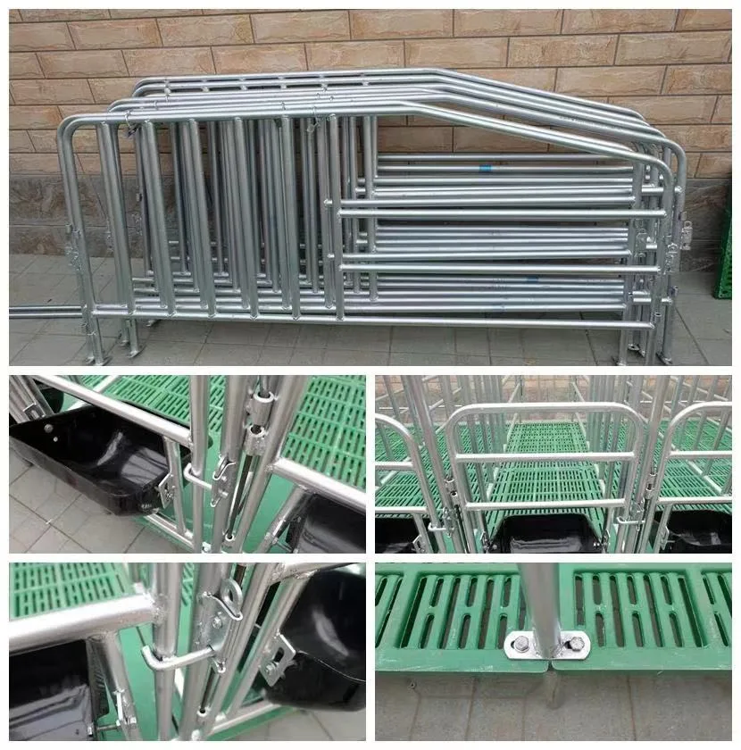 Made in China 2023 High Quality Whole Sow Farrowing Pen/Pig Farrowing Bed Positioning Railing