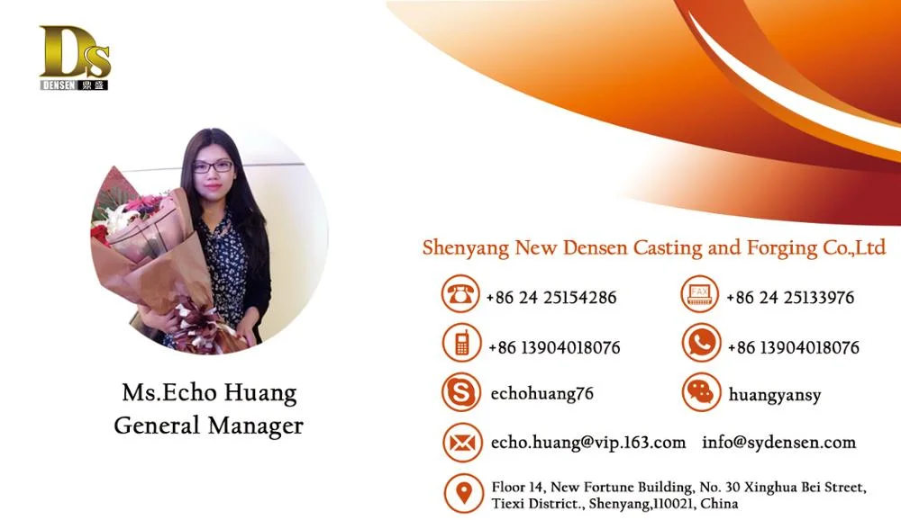 Densen Customized Manufacture Armature Core Lamination, Stamping Steel Casting Wind Generator Rotor and Stator Core