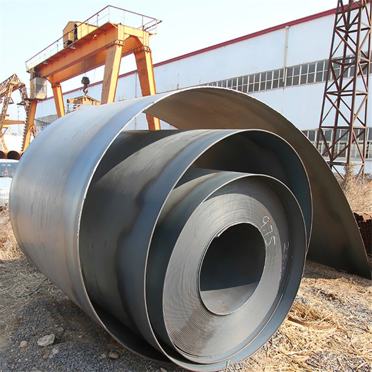 Ss400 Q235B A36 Carbon Steel Roll for Building Material