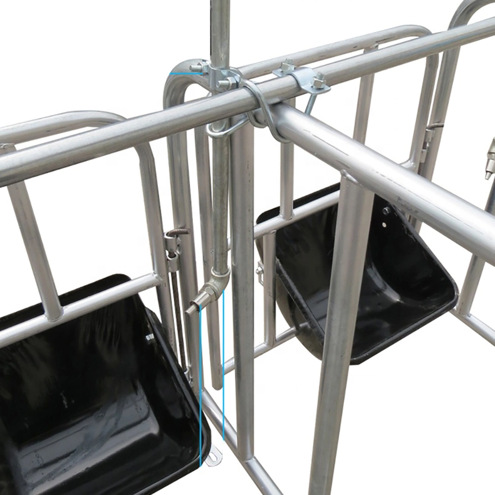 Made in China 2023 High Quality Whole Sow Farrowing Pen/Pig Farrowing Bed Positioning Railing