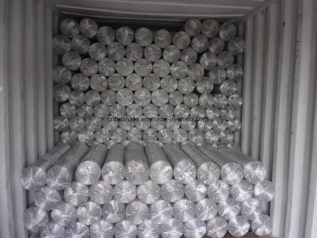 Hot DIP Galvanized Hexagonal Wire Netting