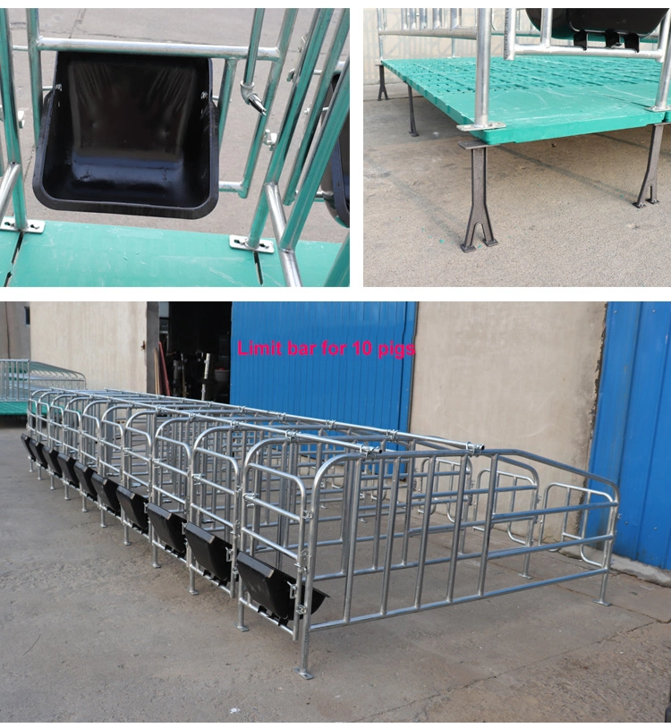 High Quality Plastic Pig Slat Floor Pig Farrowing Pens for Pig House Farrowing Cage
