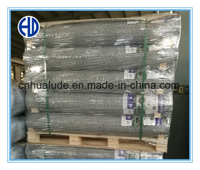 Reverse Twist Hexagonal Wire Netting