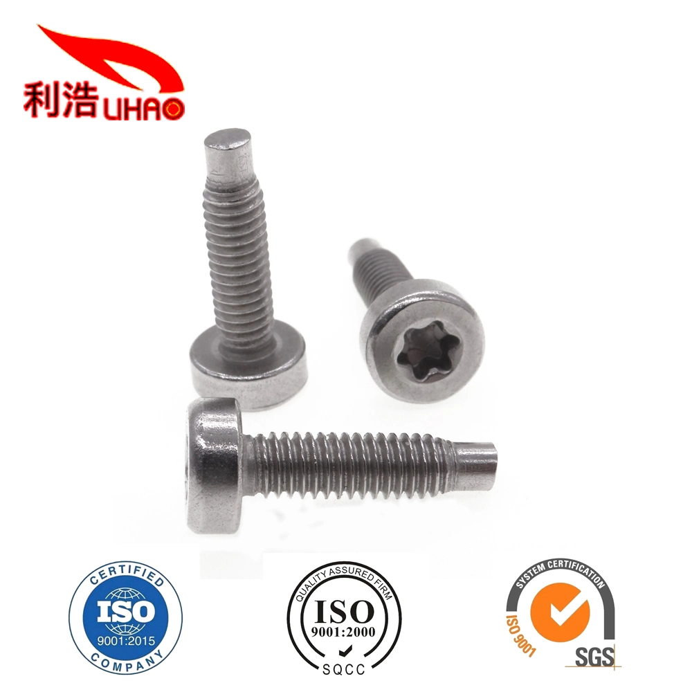 M4*15 Stainless Steel Torx Fillister/Cup Head Tail Screw