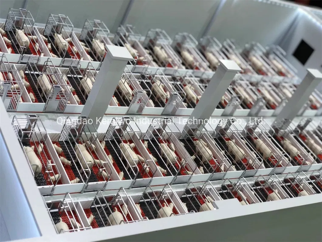 Customized Farm Equipment Pig Farrowing Pen Gestation Crate