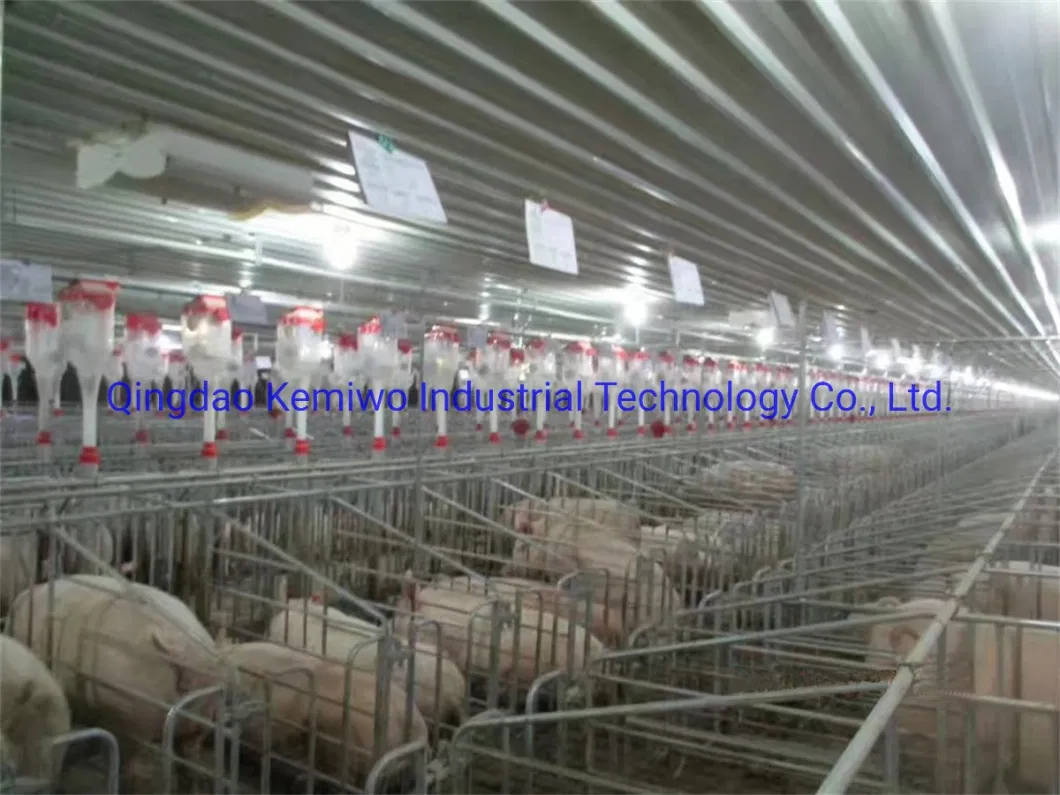 Animal Husbandry Breeding for Sow Fattening Single Pen