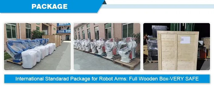 Equipment Manufacturers Welding Automation Robot Arm with 10kg Payload Six Axis Robotic Arm