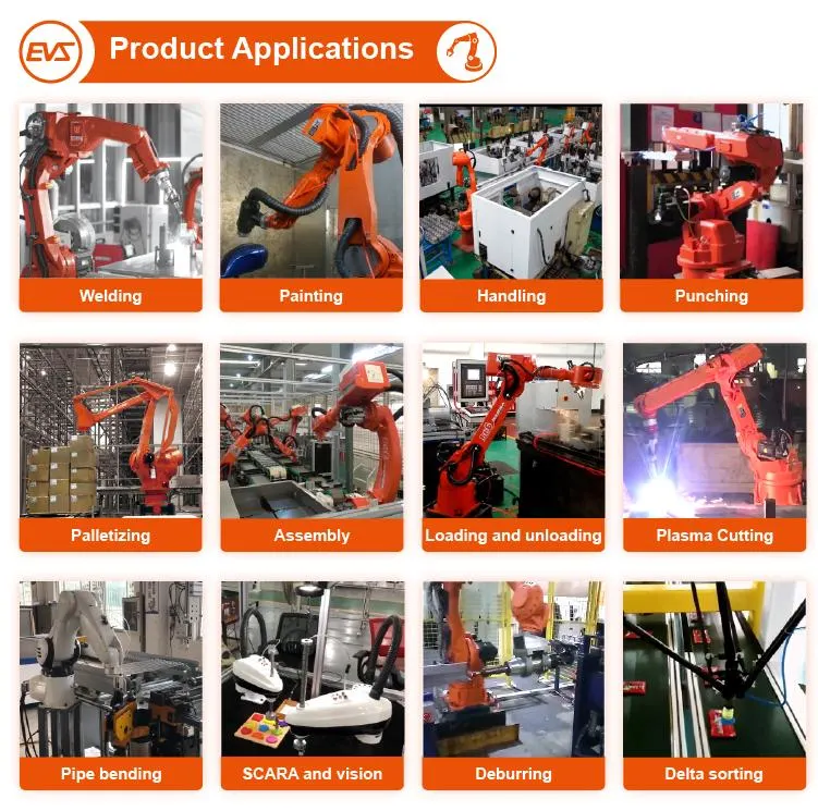 4 Axis Robot Handling Robot Palletizing Robot Best Price