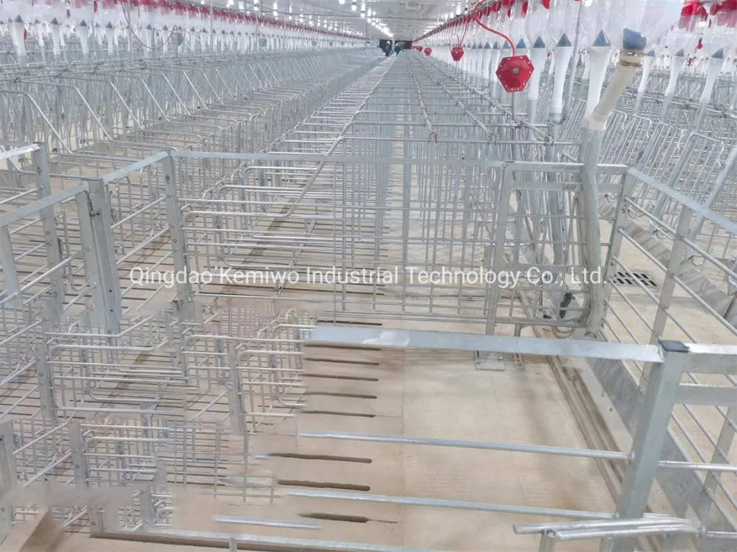 Pig Single Cage Sow Gestation Crate Pen