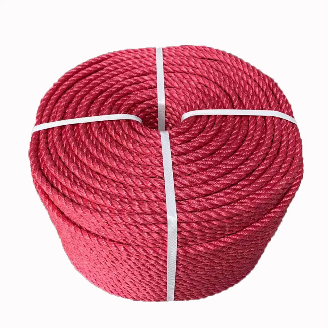 PP PE Nylon Ropes for Multi Fuctional Purpose