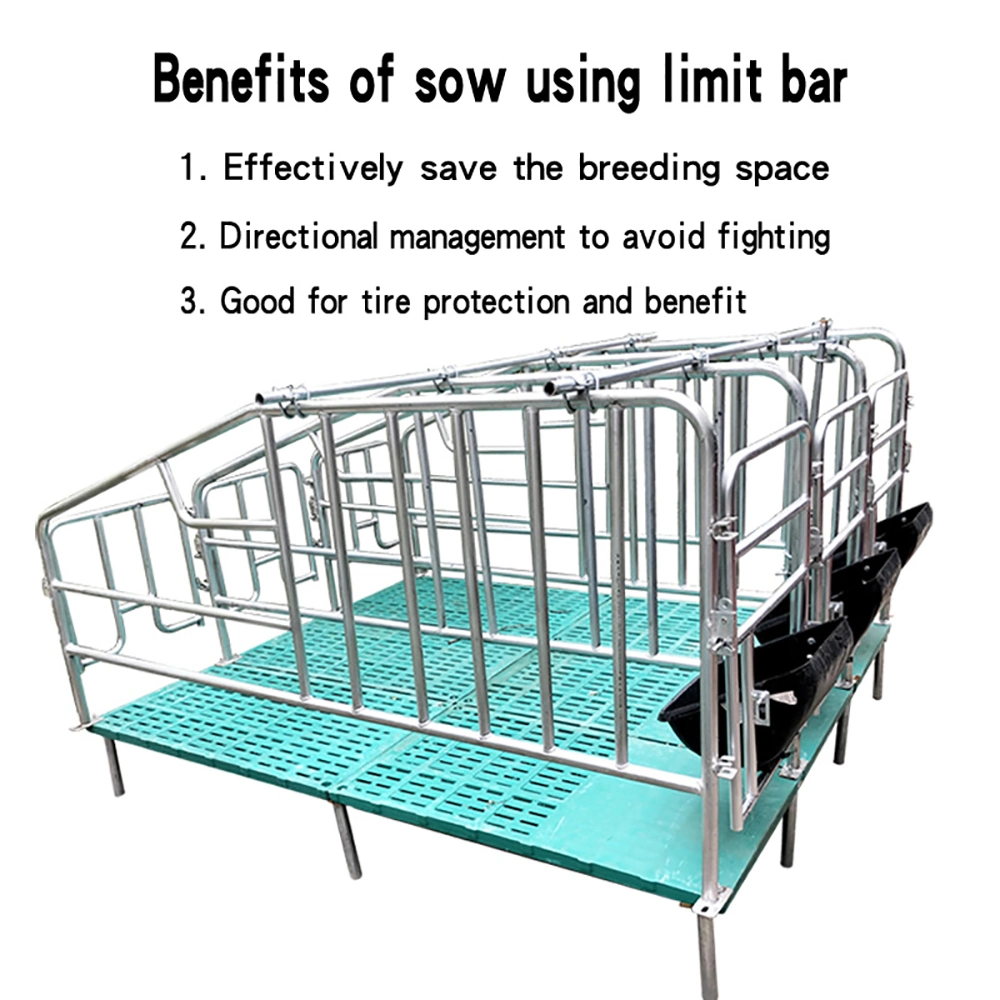 2023 High Quality Complete Sow Farrowing Pen/Pig Farrowing Bed Positioning Railing