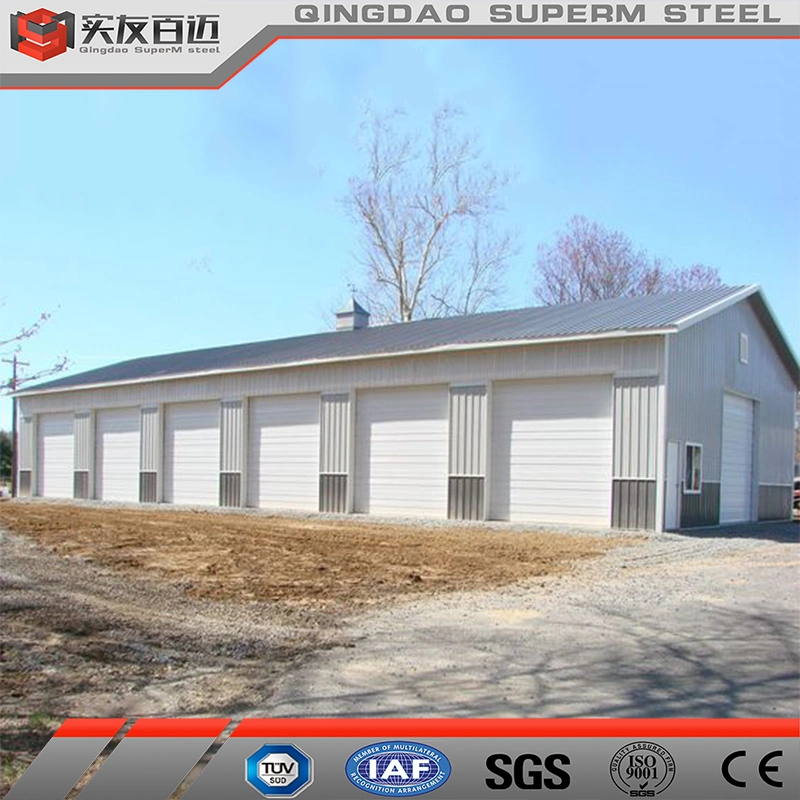 China Supplier Metal Project Steel Frame Material Warehouse Prefabricated Hall Garage Workshop Carport
