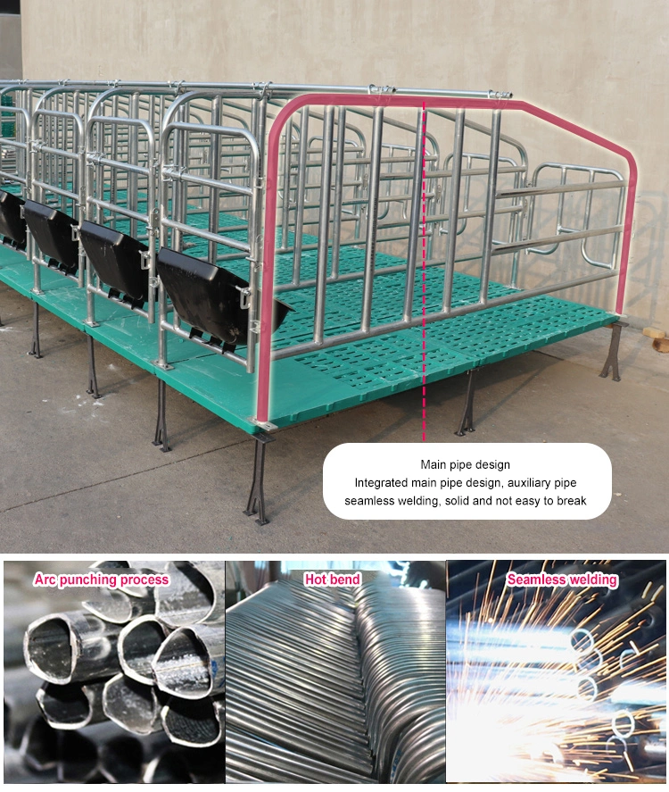 Crate Hot DIP Galvanized Pig Farrowing Pens with 2023 New Design