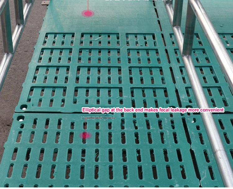 High Quality Plastic Pig Slat Floor Pig Farrowing Pens for Pig House Farrowing Cage