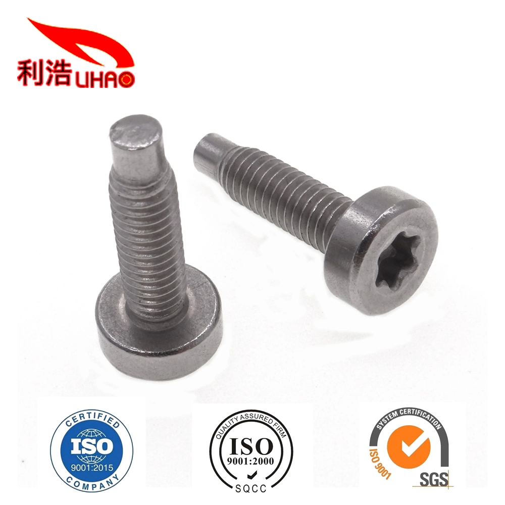 M4*15 Stainless Steel Torx Fillister/Cup Head Tail Screw