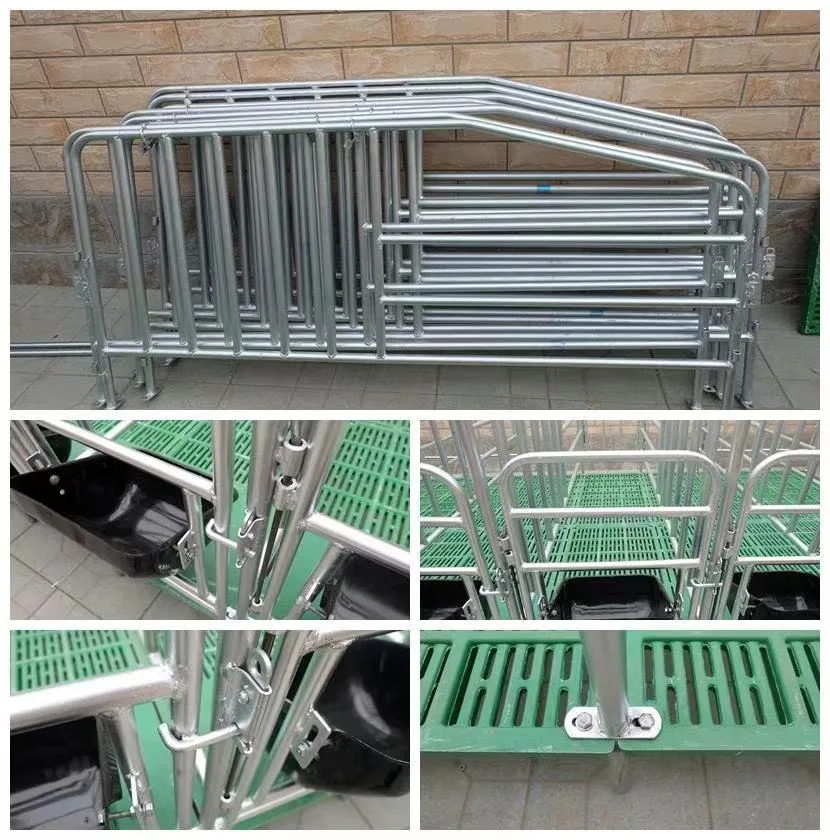 Crate Hot DIP Galvanized Pig Farrowing Pens with 2023 New Design