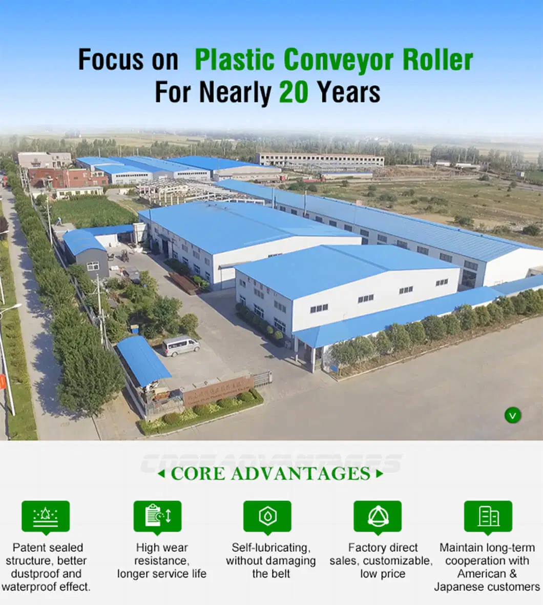 Conveyor Roller China Manufacturer Industrial Mining PE Pipe Roller