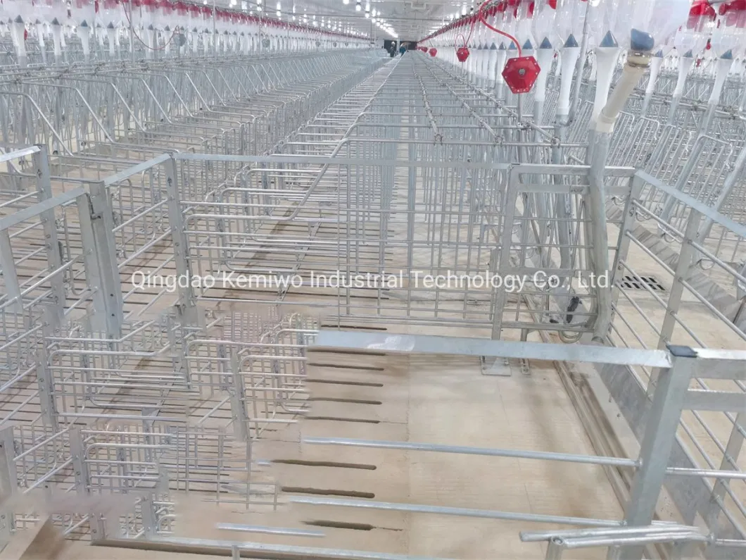 Customized Farm Equipment Pig Farrowing Pen Gestation Crate