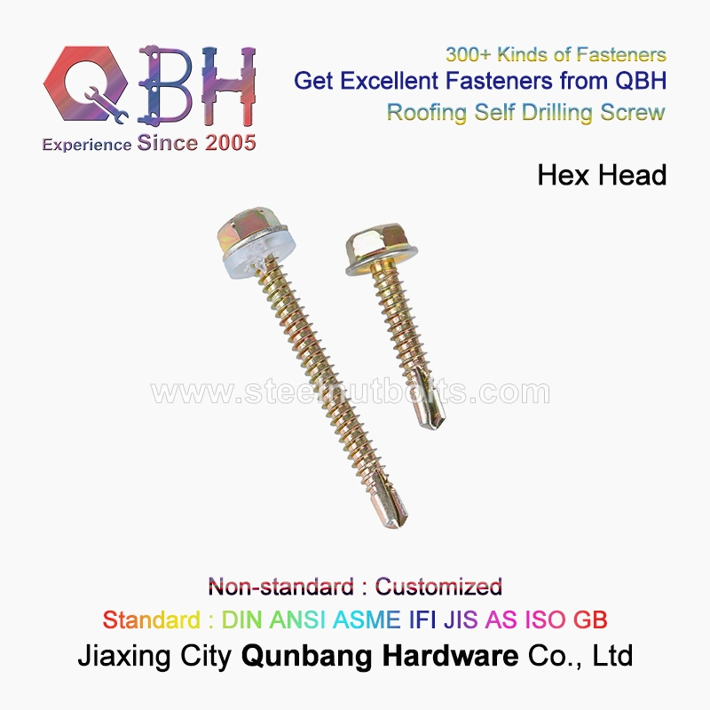Qbh Custom-Made Hex Washer/ Cross Pan / Truss Wafer Head Self Drilling Tail Stainless Steel Deck SDS Screw