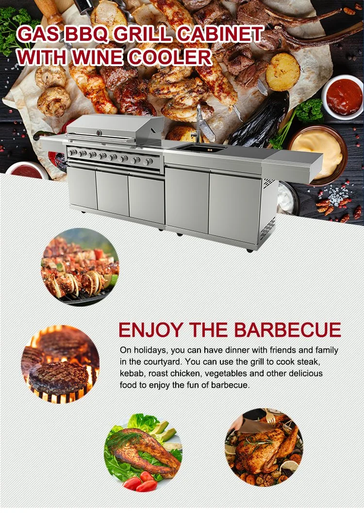New Style Modern Indoor Kitchen Cabinet Gas Rotary BBQ Grill