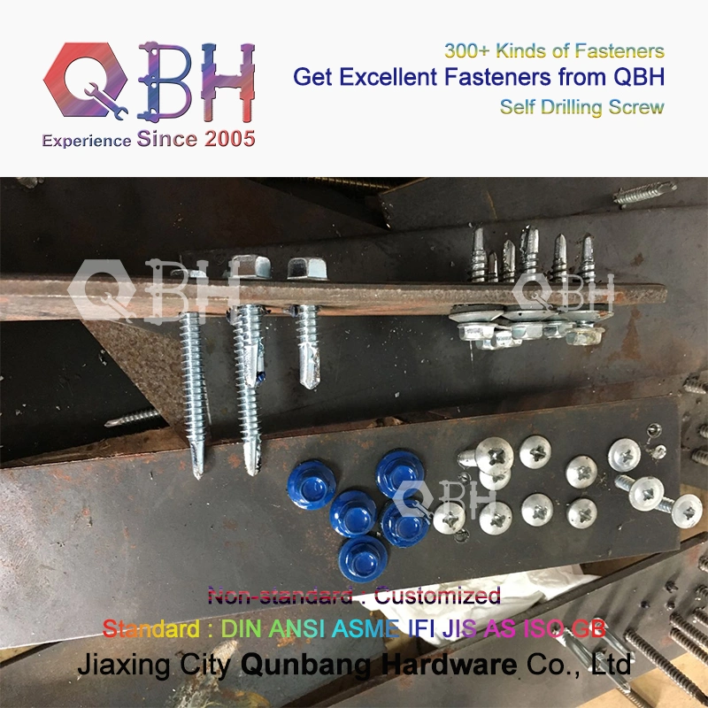 Qbh Custom-Made Hex Washer/ Cross Pan / Truss Wafer Head Self Drilling Tail Stainless Steel Deck SDS Screw