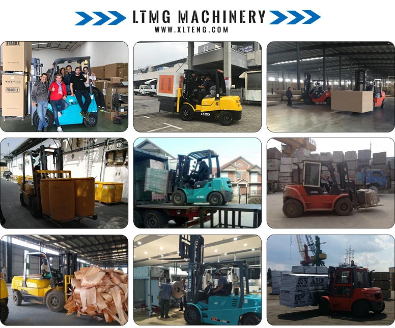 Ltmg Big Fork Lift 10ton 15 Ton 16 Ton Diesel Forklift with Customized Lift Height