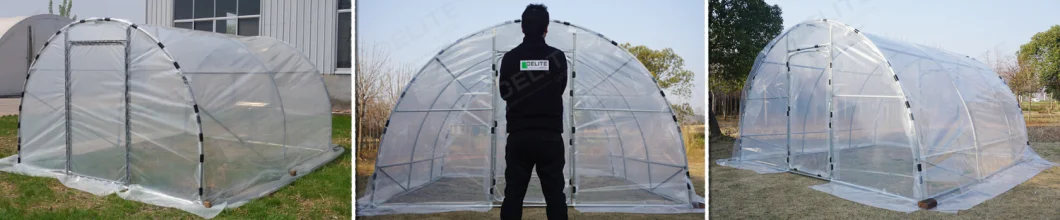 Portable Tier Lean-to Greenhouse Growing Flowers