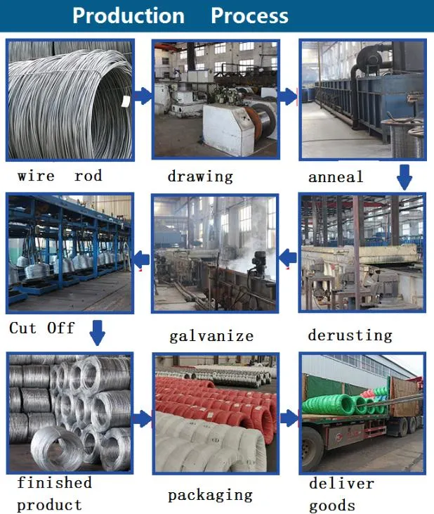 Low Carbon Steel Hot Rolled Steel Wire Rod in Coils Hot Rolled Galvanized Gi Steel Wire Iron Rod Metal