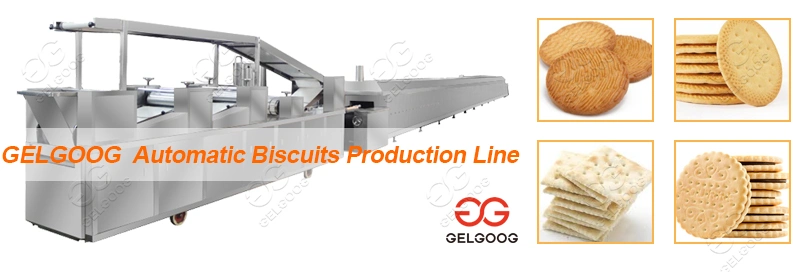 Automatic Operation Biscuit Machine for Sale Bear Biscuit Making Plant