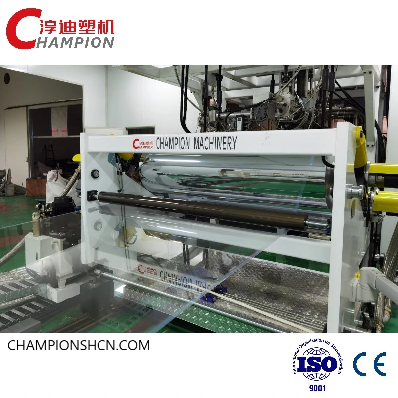 Customized Capacity High Quality PET PLA Sheet Production line