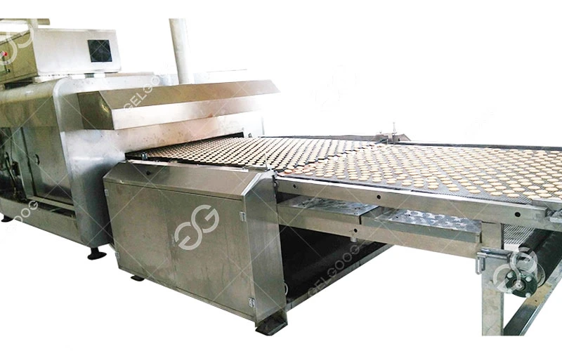 Automatic Operation Biscuit Machine for Sale Bear Biscuit Making Plant
