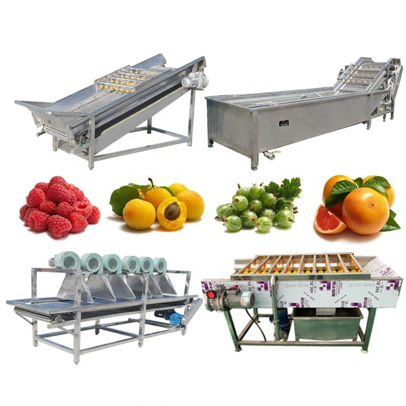 Vegetable Washer Carrot Washing Machine Vegetable Bubble Washing Machine/Tomato Paste Production Line