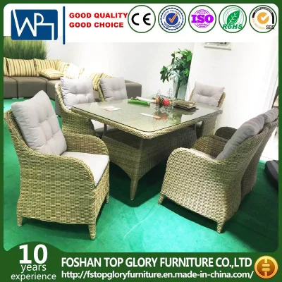  Wicker Furniture Rattan Dining Sets Wicker Set Table with Glass Top (TG-HL28)