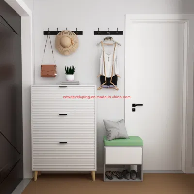 Shoe Rack Cabinet Flip Down Storage Organizer for Home