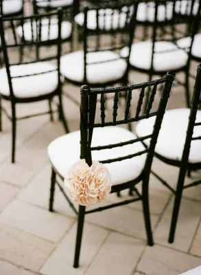Perfect Quality Durable Outdoor Banquet Monobloc Resin Plastic Tiffany Black Chavari Chairs