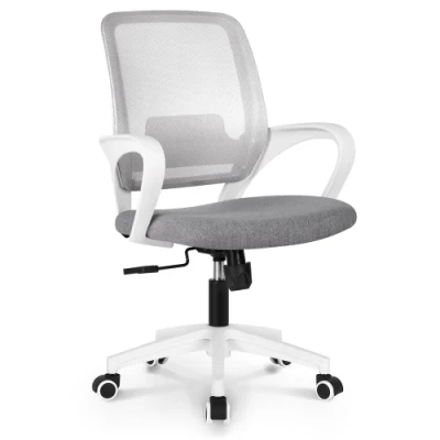 Office Furniture Ergo Computer Office Swivel Chair with White Body