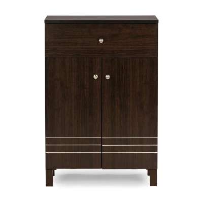 Dark Brown Modern Indoor with Doors and Drawers Shoe Cabinet 0241