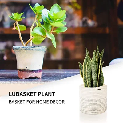 Collapsiable Cotton Rope Woven Storage Basket with Hidden Handle for Plant in Livingroom