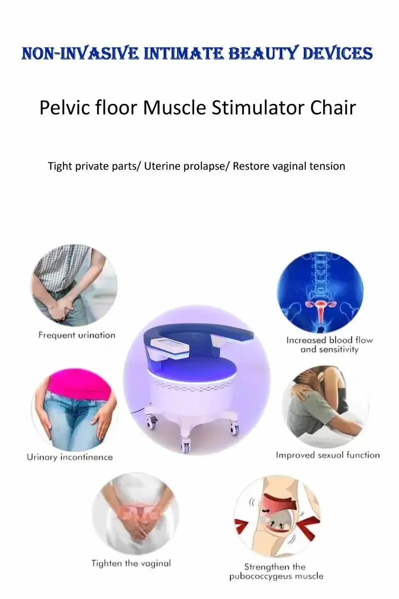 Postpartum Repair, Physiotherapy Electromagnetic Bladder Pelvic Muscle Pelvic Floor Exercise Muscle Chair