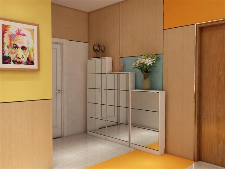 Mirror Doors Home Use Flip-Down High Shoe Cabinet