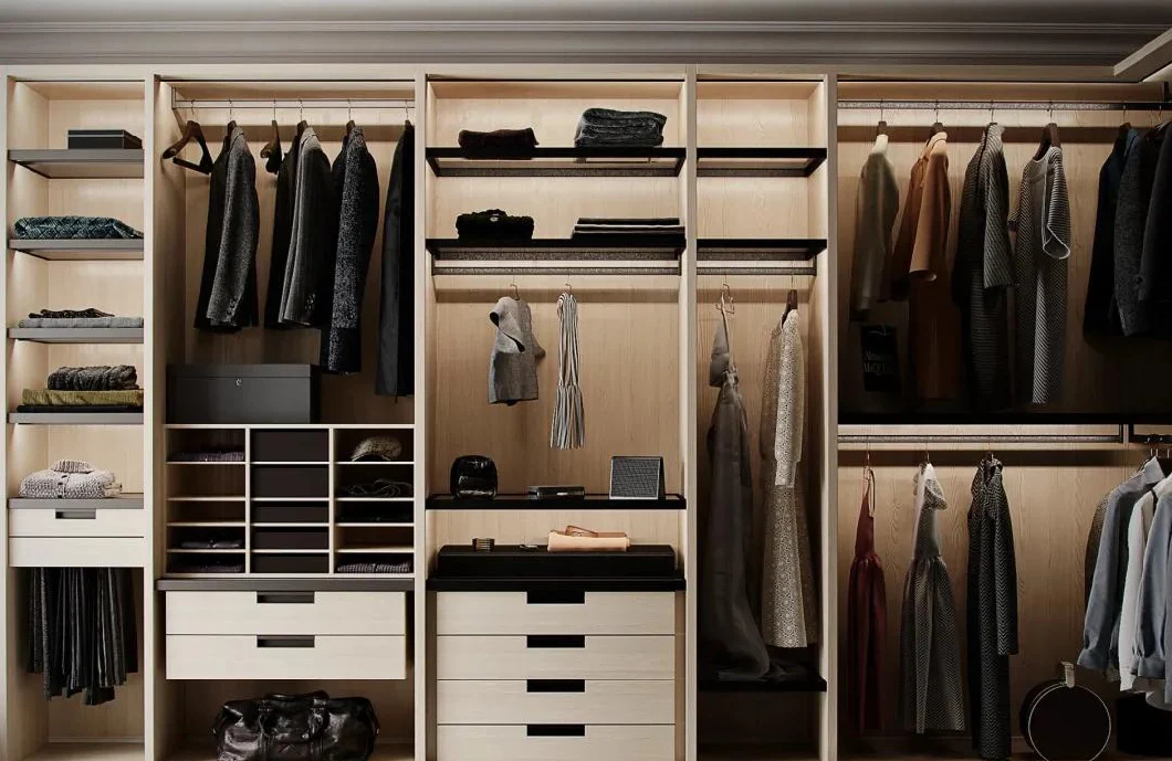 Luxury Style Walk-in Wardrobes Tinted Glass Closets with shoes Storage Cabinets